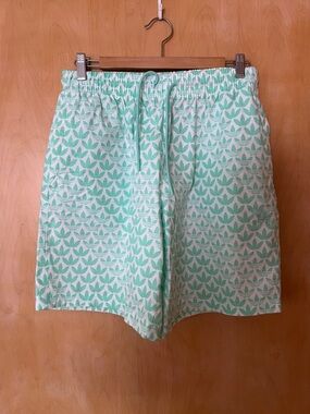 adidas Men's Mint Green White Athletic Shorts